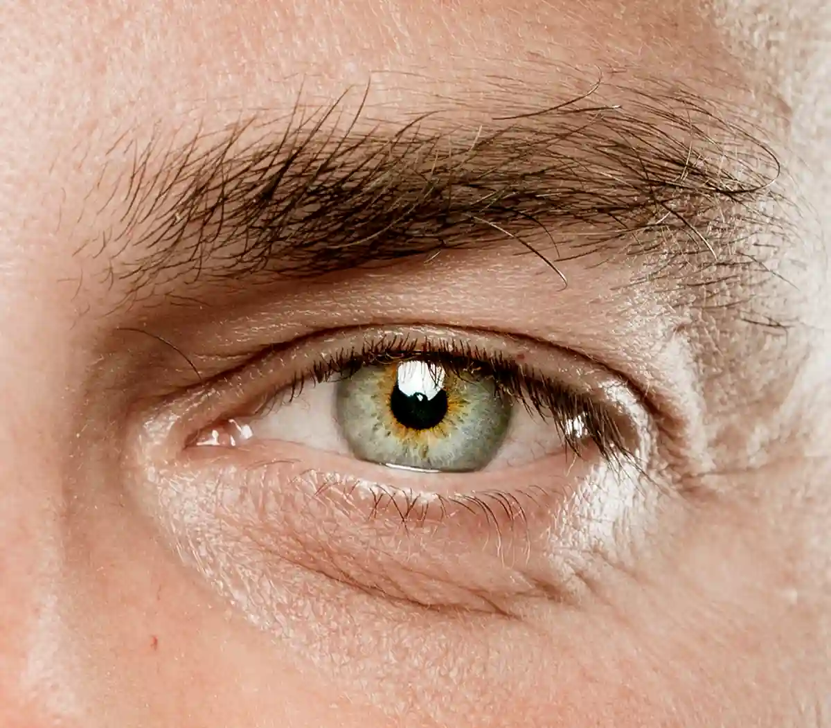 close up of mature male eye